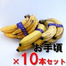 野菜/果物　フィリピン・ネグロス島産農薬不使用バナナ　10本セット