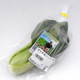 野菜/果物　高知県産　特別栽培青梗菜(チンゲンサイ)