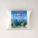 東京食品　王様のヨーグルト種菌　3g×2